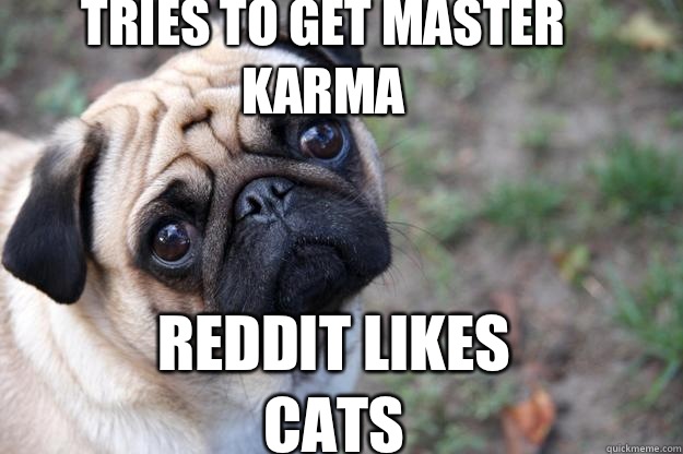 tries to get master karma Reddit likes cats  First World Dog problems