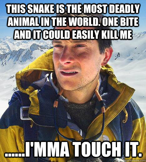 This snake is the most deadly animal in the world. one bite and it could easily kill me ......i'mma touch it.  Bear Grylls