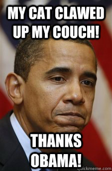 my cat clawed up my couch! Thanks Obama!  Everything Is Barack Obamas Fault