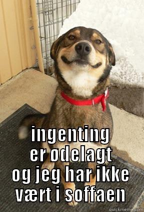  INGENTING ER ØDELAGT OG JEG HAR IKKE VÆRT I SOFFAEN Good Dog Greg