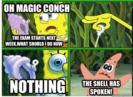 Oh Magic Conch NOTHING The SHELL HAS SPOKEN! The exam starts next week.What should I do now  Magic Conch Shell