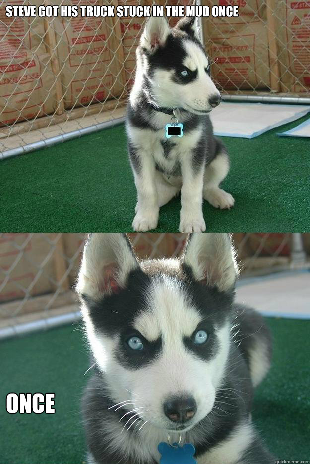 Steve got his truck stuck in the mud once ONCE  Insanity puppy