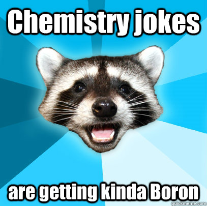 Chemistry jokes are getting kinda Boron  Lame Pun Coon