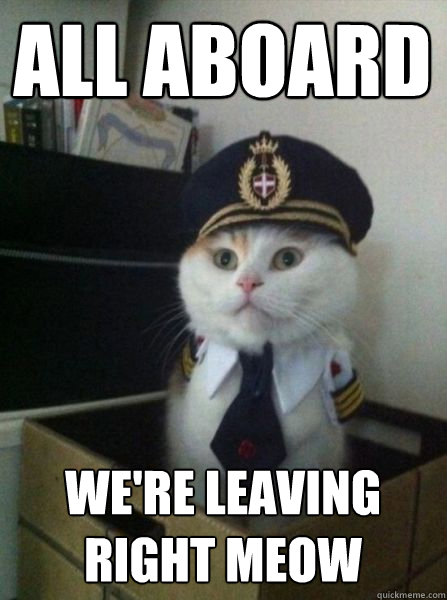 All aboard we're leaving right meow  Captain kitteh