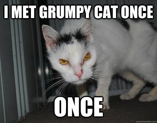 I met grumpy cat once ONCE  