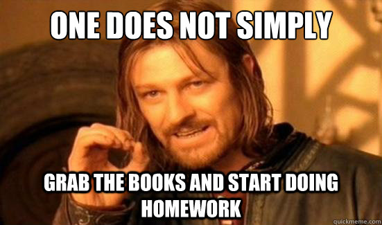 One Does Not Simply grab the books and start doing homework  Boromir