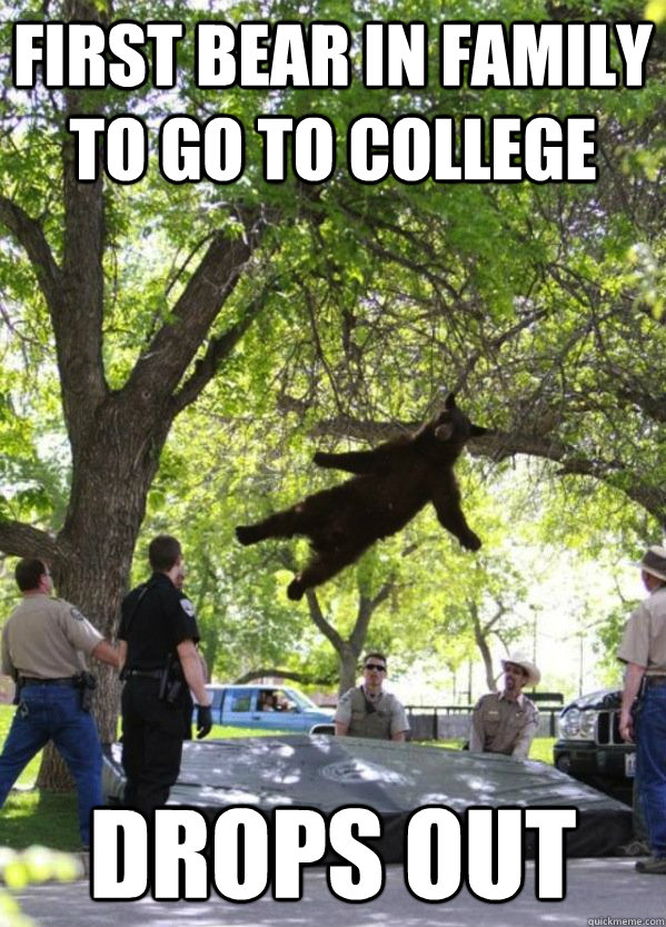 First bear in family to go to college Drops Out  i am a falling bear
