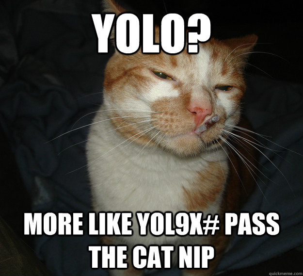 YOLO? More like yol9x# pass the cat nip  Cool Cat Craig
