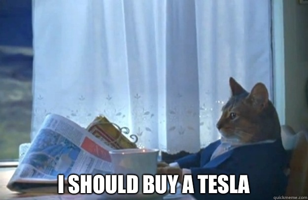  I should buy a Tesla -  I should buy a Tesla  Sophisticated Cat