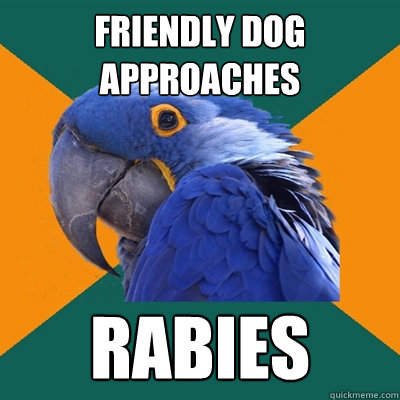 friendly dog approaches rabies  Paranoid Parrot