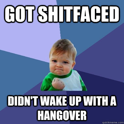 Got Shitfaced didn't wake up with a hangover  Success Kid