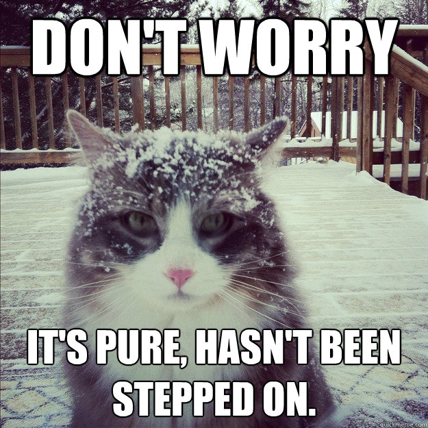 don't worry it's pure, hasn't been stepped on. - don't worry it's pure, hasn't been stepped on.  Cocaine Cat