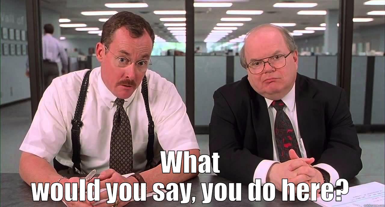  WHAT WOULD YOU SAY, YOU DO HERE? Misc