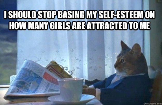 I should stop basing my self-esteem on how many girls are attracted to me  Sophisticated Cat