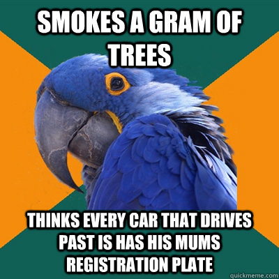 Smokes a gram of trees thinks every car that drives past is has his mums registration plate  Paranoid Parrot