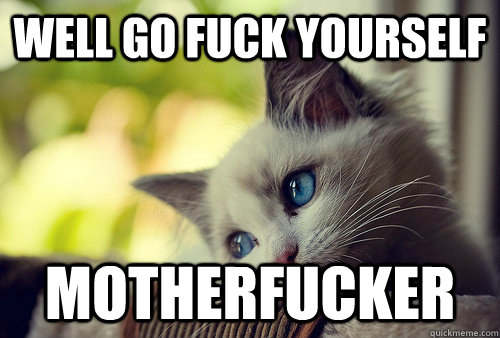 Well go fuck yourself motherfucker  First World Problems Cat