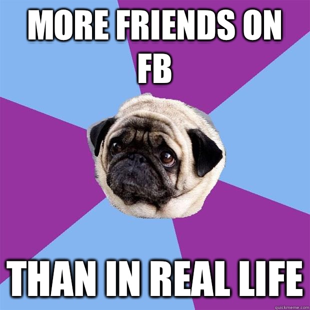 More friends on FB Than in real life  Lonely Pug