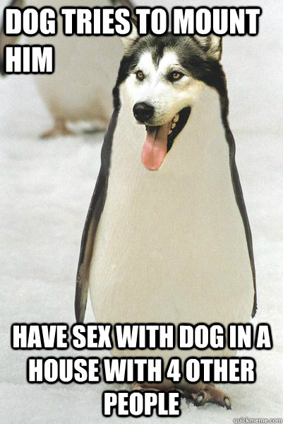 dog tries to mount him have sex with dog in a house with 4 other people  Courageously Awkward Wolf