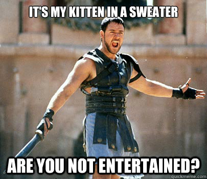 it's my kitten in a sweater Are you not entertained? - it's my kitten in a sweater Are you not entertained?  Gladiator