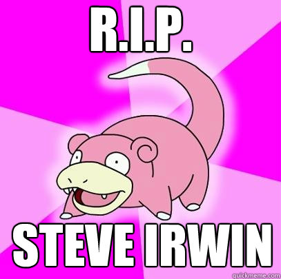 R.I.P. STEVE IRWIN  Slowpoke