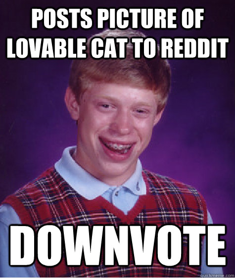 Posts picture of lovable cat to reddit Downvote  Bad Luck Brian