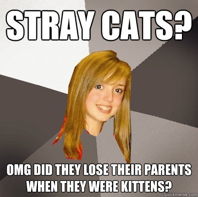 stray cats? omg did they lose their parents when they were kittens?  Musically Oblivious 8th Grader
