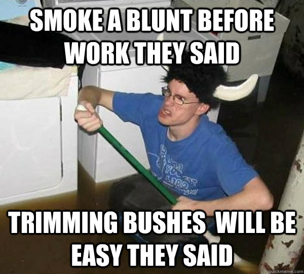 Smoke a blunt before work they said trimming bushes  will be easy they said  they said2