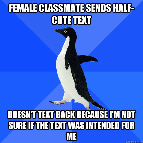Female classmate sends half-cute text Doesn't text back because i'm not sure if the text was intended for me - Female classmate sends half-cute text Doesn't text back because i'm not sure if the text was intended for me  Socially Awkward Penguin