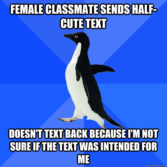 Female classmate sends half-cute text Doesn't text back because i'm not sure if the text was intended for me  Socially Awkward Penguin