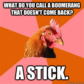 what do you call a boomerang that doesn't come back? a stick.  Anti-Joke Chicken