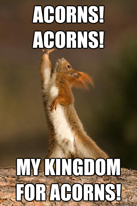 Acorns! Acorns! my kingdom for acorns!  Shakespeare Squirrel