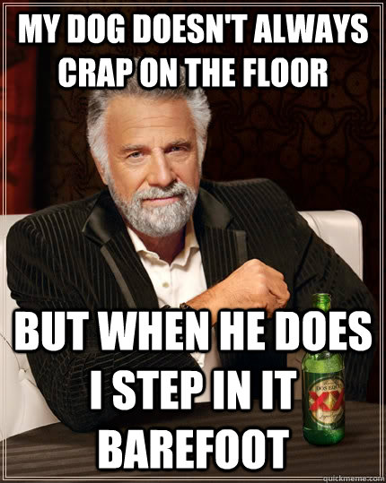 My dog doesn't always crap on the floor But when he does I step in it barefoot  The Most Interesting Man In The World