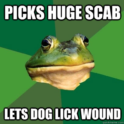 Picks huge scab lets dog lick wound  Foul Bachelor Frog