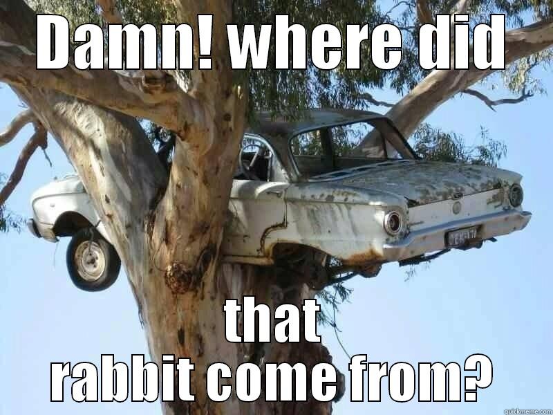 DAMN! WHERE DID THAT RABBIT COME FROM? Misc