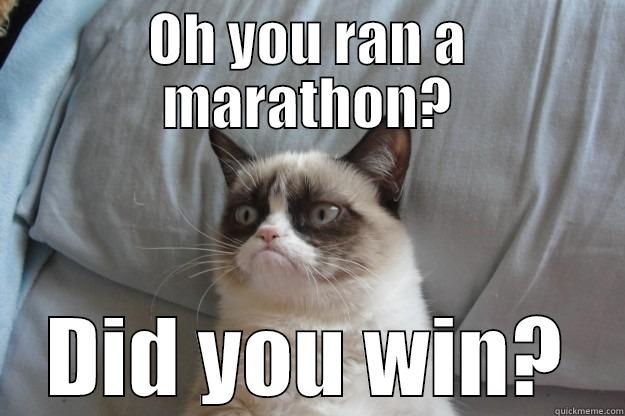 OH YOU RAN A MARATHON? DID YOU WIN? Grumpy Cat