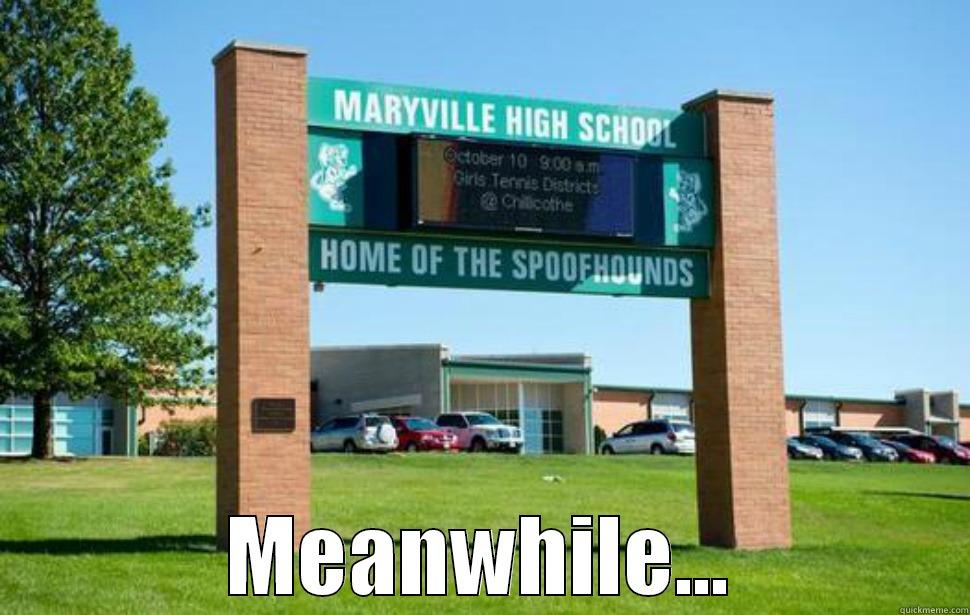  MEANWHILE... Misc