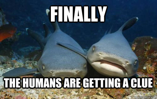 Finally the humans are getting a clue - Finally the humans are getting a clue  Compassionate Shark Friend