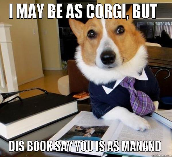 I MAY BE AS CORGI, BUT  DIS BOOK SAY YOU IS AS MANAND Lawyer Dog