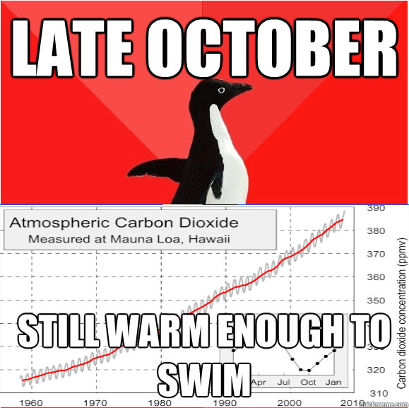 Late october Still warm enough to swim - Late october Still warm enough to swim  Socially Awesome Climate