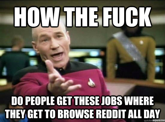 How the fuck Do people get these jobs where they get to browse reddit all day - How the fuck Do people get these jobs where they get to browse reddit all day  Misc