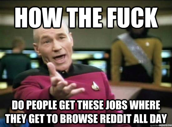 How the fuck Do people get these jobs where they get to browse reddit all day - How the fuck Do people get these jobs where they get to browse reddit all day  Misc