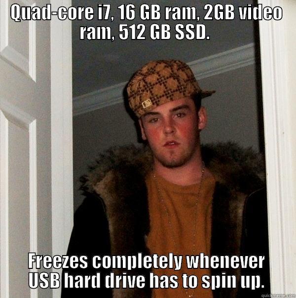 QUAD-CORE I7, 16 GB RAM, 2GB VIDEO RAM, 512 GB SSD.  FREEZES COMPLETELY WHENEVER USB HARD DRIVE HAS TO SPIN UP. Scumbag Steve