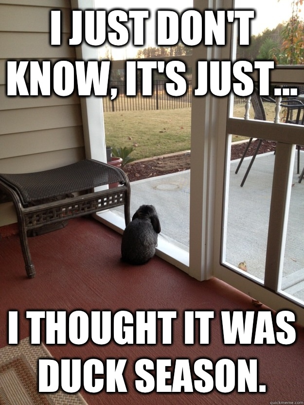i just don't know, it's just... I thought it was duck season.   Facing Reality Bunny