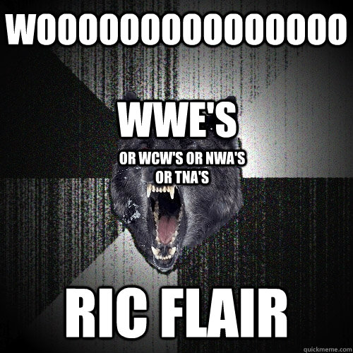 wooooooooooooooo ric flair wwe's or wcw's or nwa's or tna's  Insanity Wolf