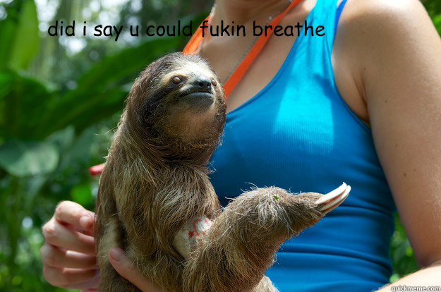 did i say u could fukin breathe  sloth meme