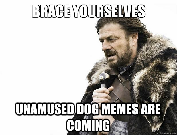 brace yourselves unamused dog memes are coming - brace yourselves unamused dog memes are coming  Misc