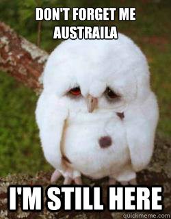 Don't forget me austraila I'm still here  Sad Owl