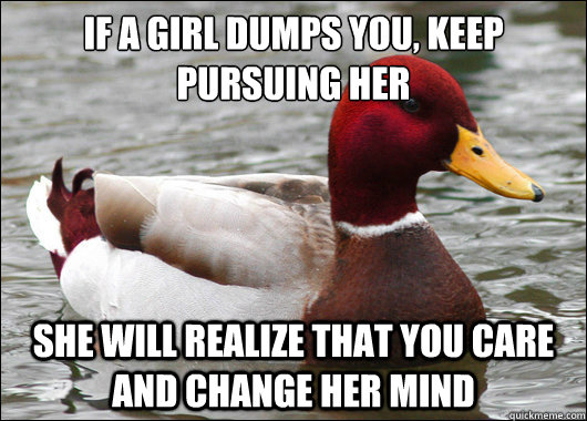 If a girl dumps you, keep pursuing her
 she will realize that you care and change her mind  Malicious Advice Mallard