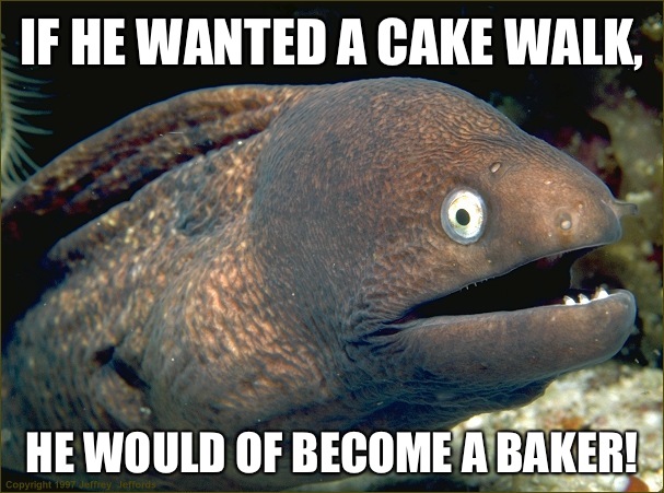 If he wanted a cake walk, He would of become a baker!  Bad Joke Eel