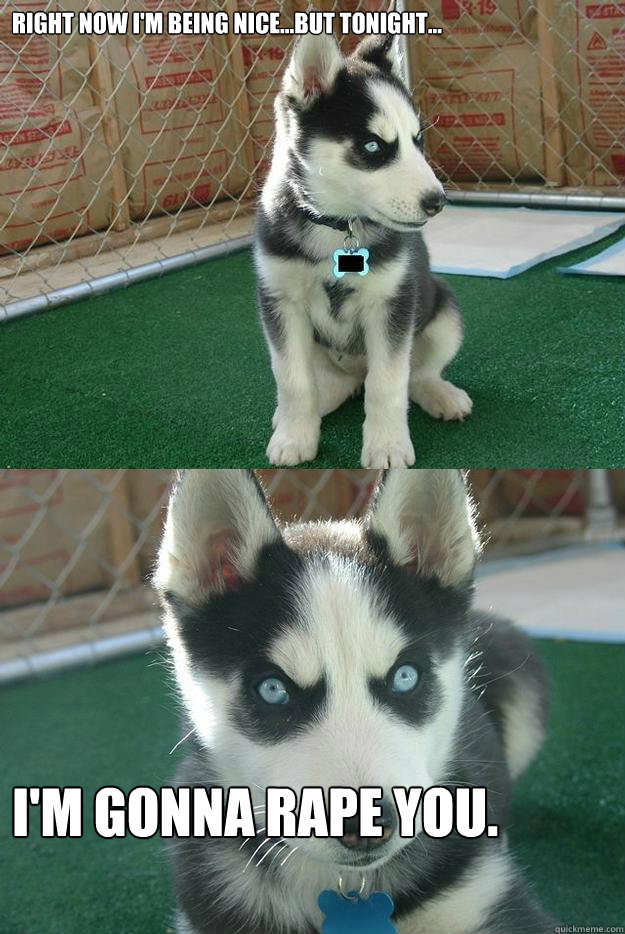Right now I'm being nice...but tonight... I'm gonna rape you.  Insanity puppy